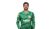 Eintracht Frankfurt Applause Sticker by Bundesliga