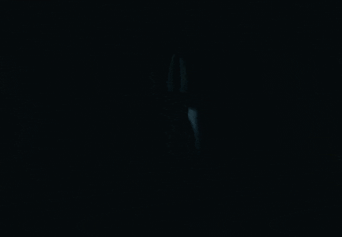 Carnage GIF by Jazmin Bean