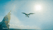 Flying Dc Comics GIF by DC
