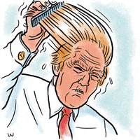 donald trump GIF