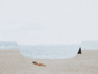 You Can Wow GIF by FranchiseONE.de