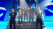 Team Esports GIF by BLAST