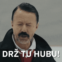 Hokej Lajna GIF by Seznam.cz