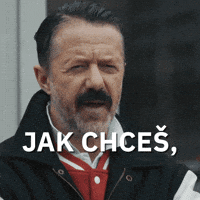 Hokej Lajna GIF by Seznam.cz