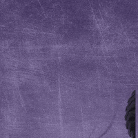 Kdub GIF by KWC Panthers