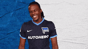 Bundesliga Berlin GIF by Hertha BSC