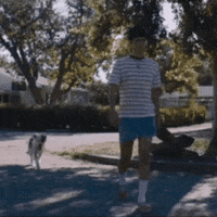 arianddanteuniverse legs dante aristotle aristotle and dante GIF