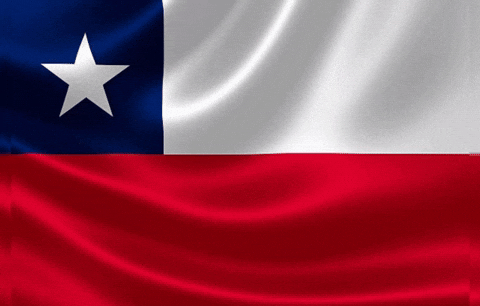 Viva Chile GIF