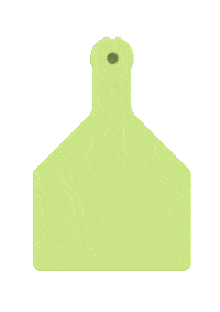 Pig Goat Sticker by datamarslivestock