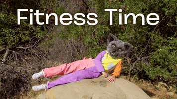 fitness cat