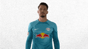 Football Sport GIF by RB Leipzig