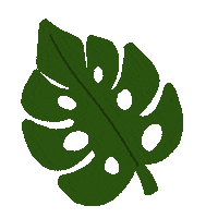 Flower Spring Sticker