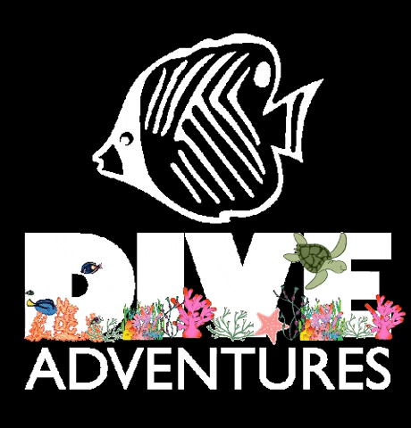 diveadventures giphygifmaker giphyattribution travel dive GIF