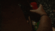 Why Me Omg GIF by FN Films