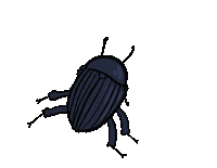 Bug Insect Sticker