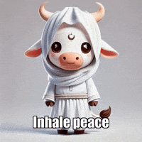 Peace Balance GIF by Sagemoohammad