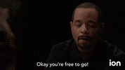 Law And Order Svu GIF by ION