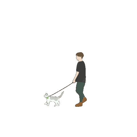 maodianstore giphyupload cat walk walking cat adventure cat Sticker