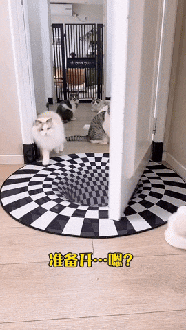 cuteanimalland giphyupload GIF