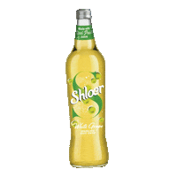 ShloerBGRocks vegan celebation shloer whitegrape Sticker