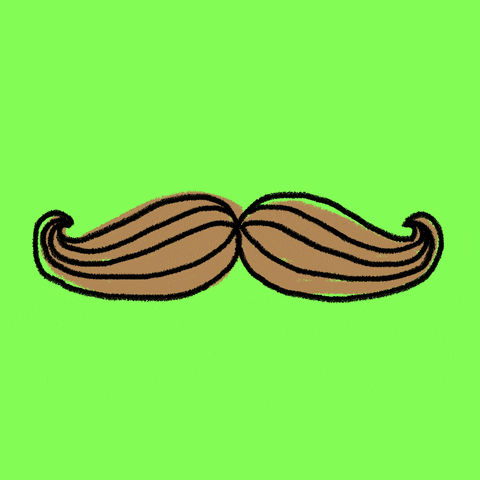 kochstrasse giphyupload cute illustration sweet GIF