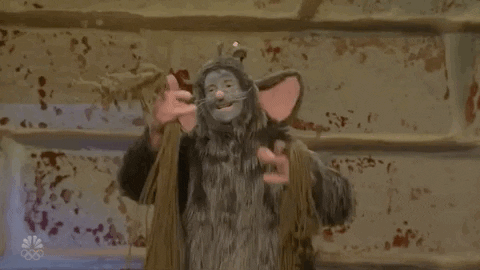 Snl GIF by Saturday Night Live