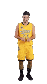 Basketball Swipe Sticker by ACSL - Austrian College Sports League