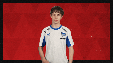 Hertha Bsc Football GIF by Bundesliga