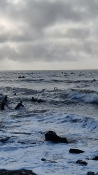 Rough Sea Seen at Start of Irish Ironman Triathlon Where 2 Participants Died