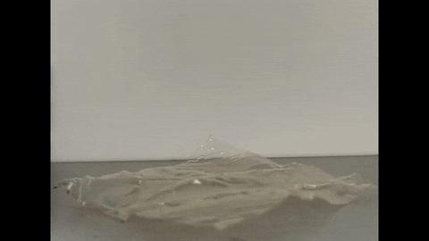 eeedd247085d470c8dcc3546da2b8ad4 giphyupload GIF