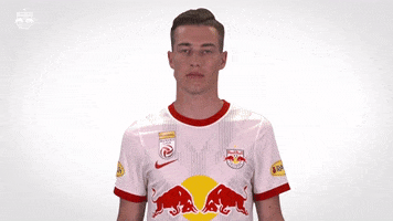 Red Bull Football GIF by FC Red Bull Salzburg