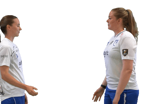 Floorball Salibandy Sticker by F-liiga