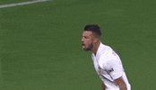 Lets Go Yes GIF by Major League Soccer
