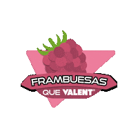 Agro Campo Sticker by Valent