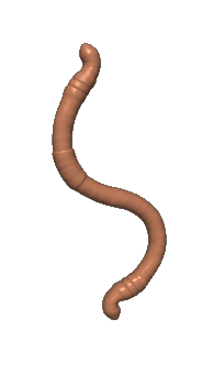 worm Sticker