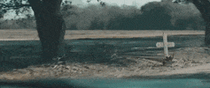 the future is slow coming GIF by Benjamin Booker