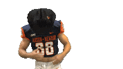 Cnfb Sticker by Carson-Newman Athletics