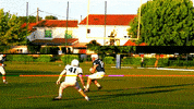 Lions_de_Bordeaux lions bordeaux football americain feartheroar GIF