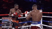 toprank fight boxing fighting espn GIF