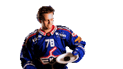 Sport Celebration Sticker by EHC Kloten