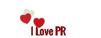Parisaroshani Sticker by PR Academy