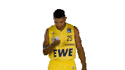 Ewe Baskets Sport Sticker by EWE Baskets Oldenburg