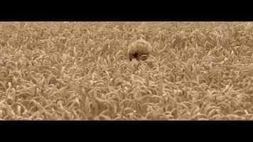 teleraptor hello fields strawberry fields teleraptor GIF