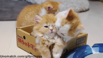cuddles GIF