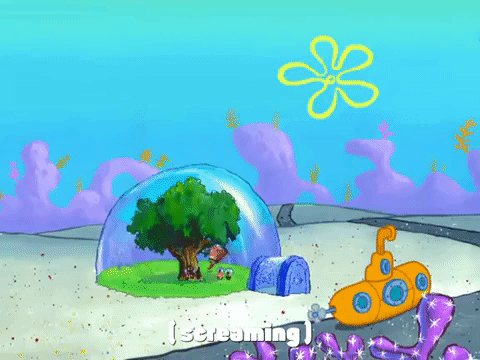 season 4 episode 10 GIF by SpongeBob SquarePants