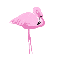 Flamingo Sticker by Harkoi