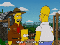 homer simpson GIF