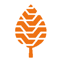 JBpneus jb tires pneus alinhamento Sticker