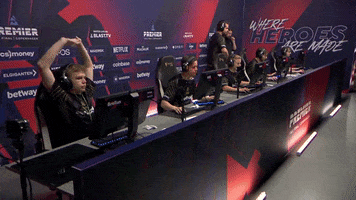 Esports Nip GIF by BLAST