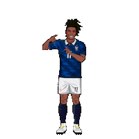 France Football Sticker by Panini America